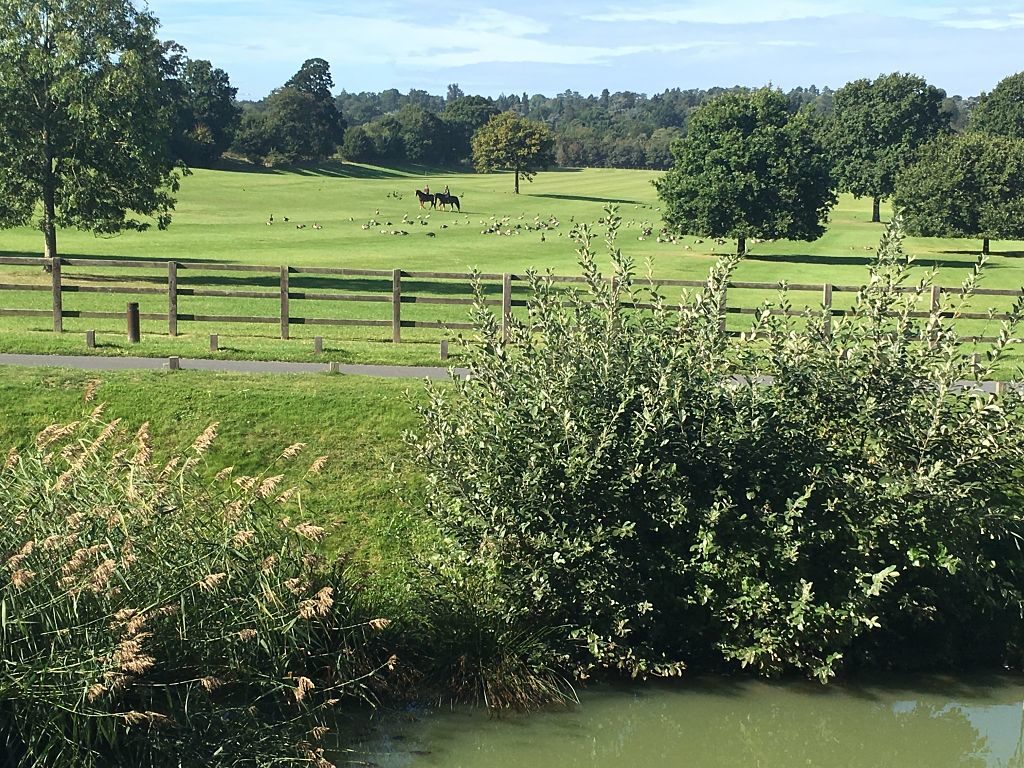 Luxury family weekend: view of riders in Coworth Park grounds ©Coworth Park