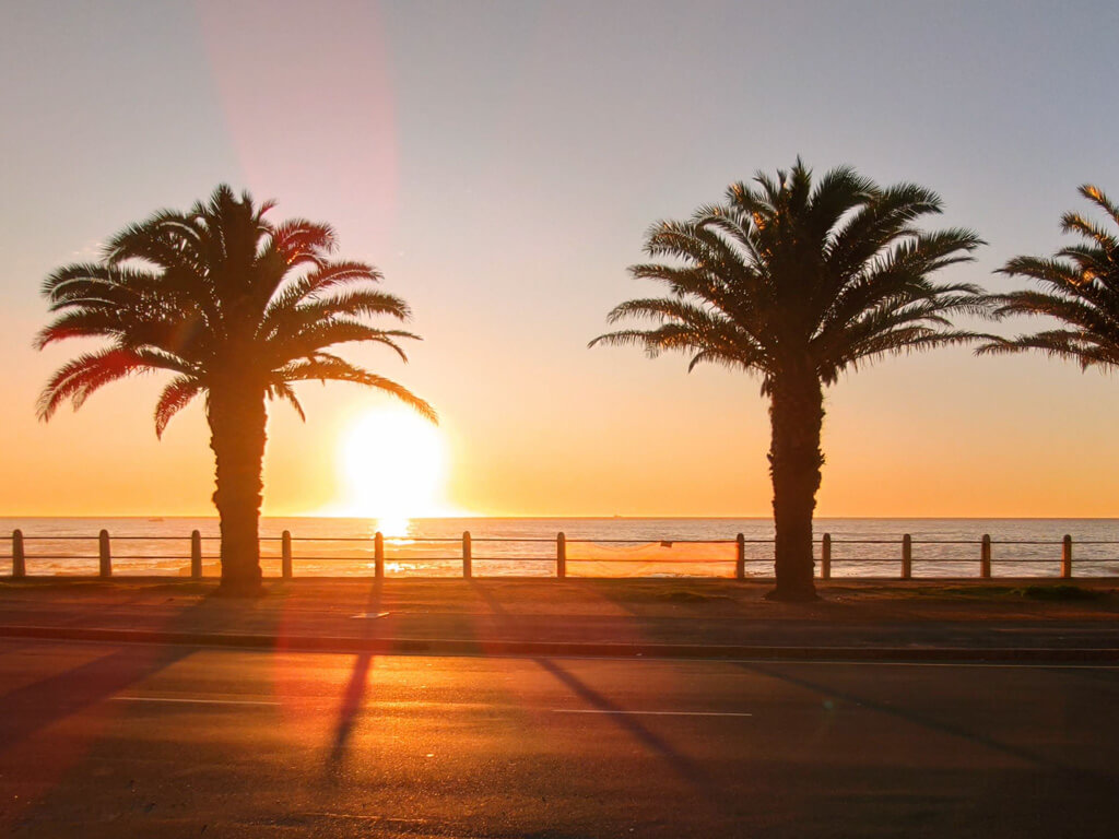 Two palm trees on a promenade silhouetted against a sunset over the sea. Copyright@2023 reserved to photographer via mapandfamily.com