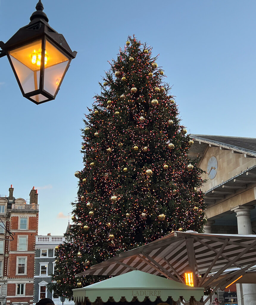 Covent Garden Christmas tree next to church and black lantern. Copyright@2024 mapandfamily.com