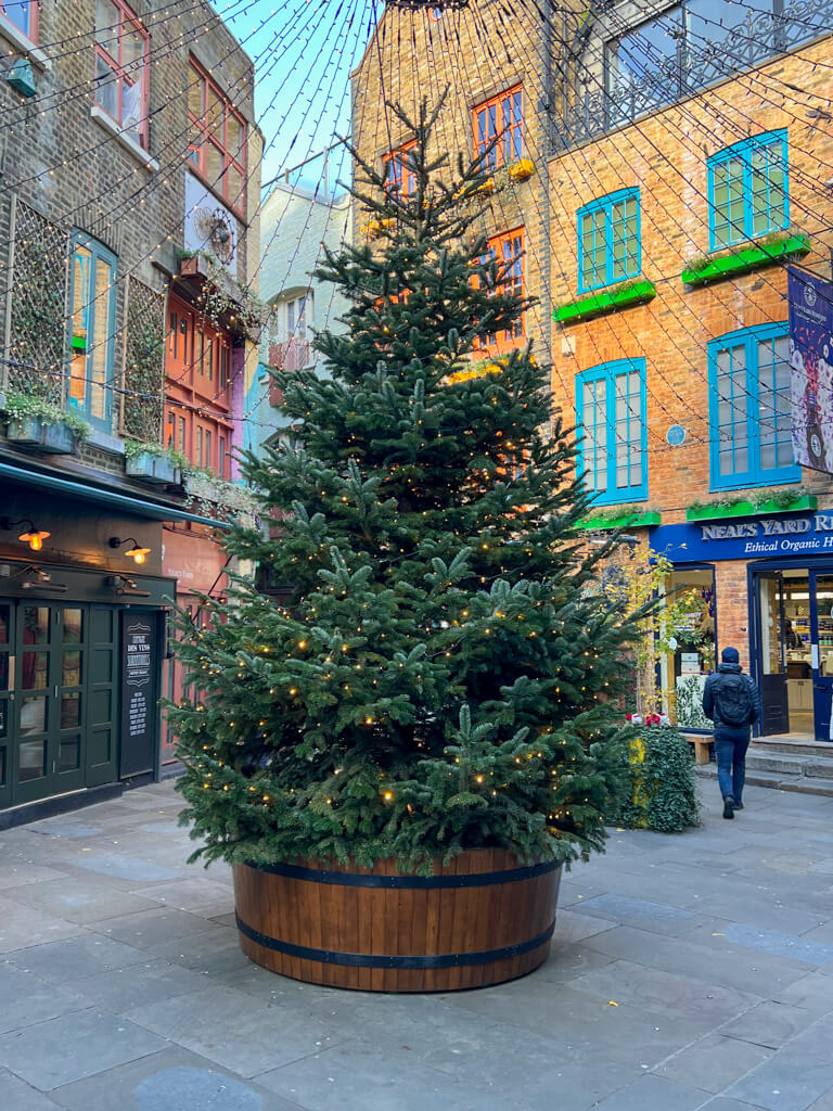Christmas tree in front of coloured windows of Neal's Yard. Copyright@2024 mapandfamily.com
